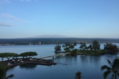 IMG_0501(1)