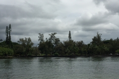 IMG_0514(1)