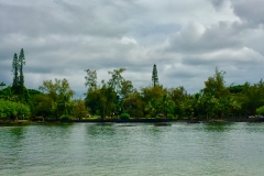 IMG_0515 (Edited)