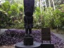 Hawaii Tropical Garden