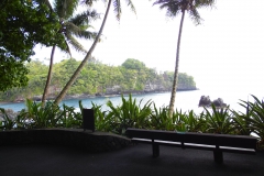 Hillo Tropical Garden - 0015