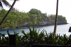 Hillo Tropical Garden - 0016