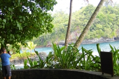 Hillo Tropical Garden - 0017