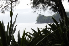 Hillo Tropical Garden - 0022