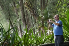 Hillo Tropical Garden - 0023