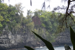 Hillo Tropical Garden - 0024