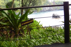 Hillo Tropical Garden - 0028