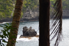 Hillo Tropical Garden - 0030